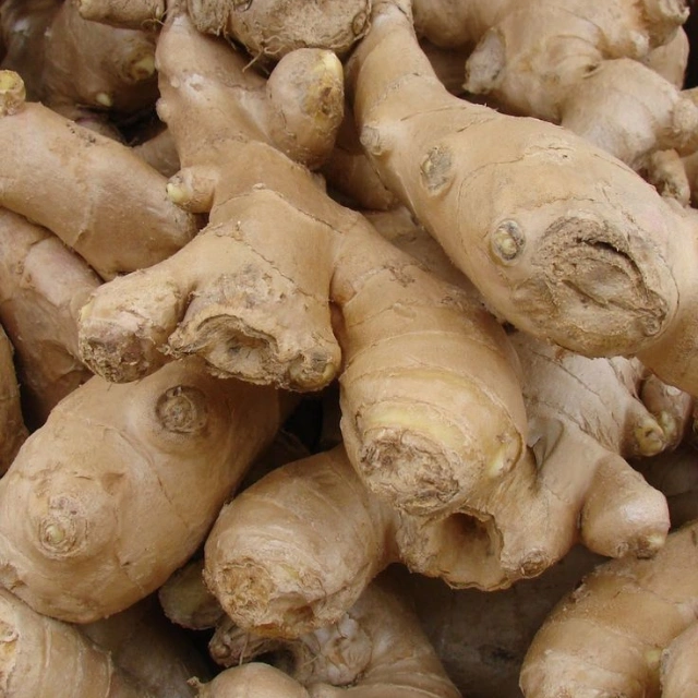 Ginger