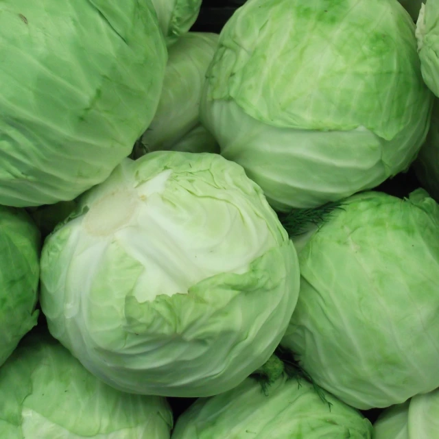 Cabbage