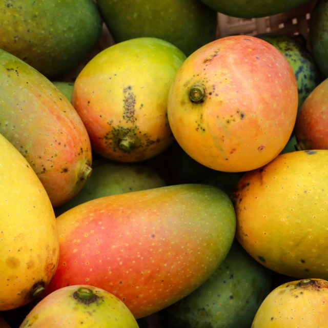 Mango
