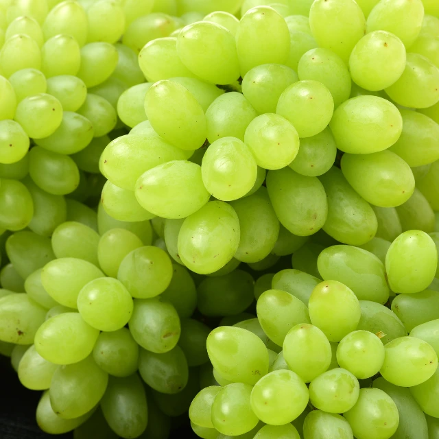 Grapes