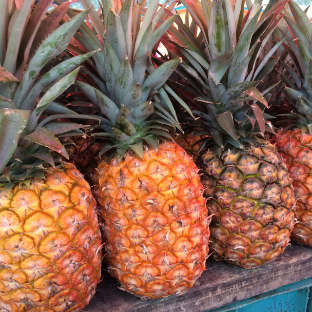 Pineapple