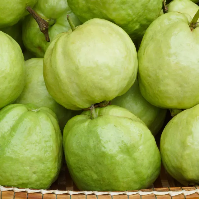 Guava