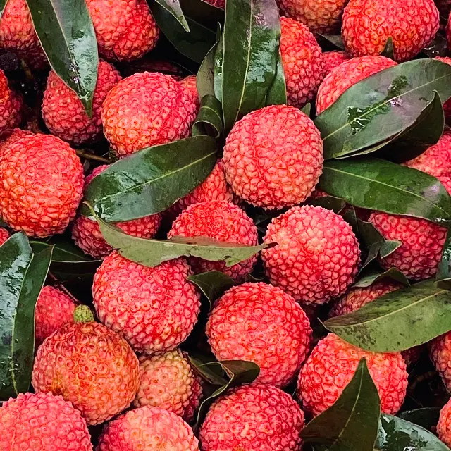 Litchi