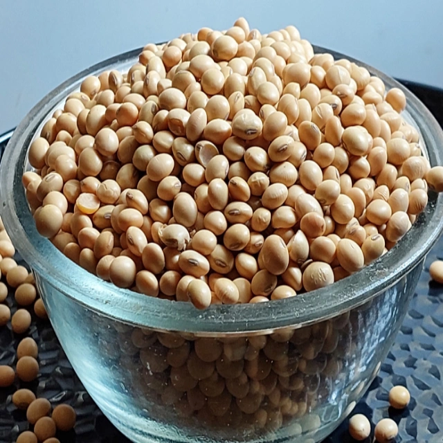 Soya bean